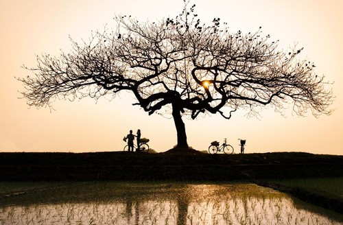 Gemeinnützige Ausstellung “Reise des Lichts” zieht zahlreiche Besucher an - ảnh 15