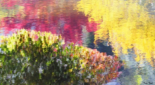 Gemeinnützige Ausstellung “Reise des Lichts” zieht zahlreiche Besucher an - ảnh 20