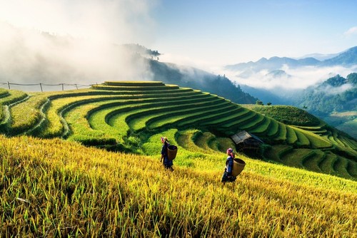 Gemeinnützige Ausstellung “Reise des Lichts” zieht zahlreiche Besucher an - ảnh 9