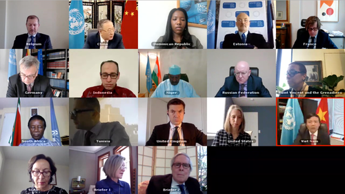 Vietnam unterstützt die Reform der Arbeitsweise des UN-Sicherheitsrats  - ảnh 1