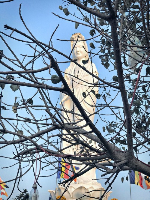 Die friedliche und alte Schönheit der Kaiserstadt Hue - ảnh 13