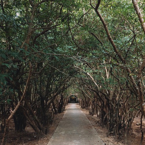 Die friedliche und alte Schönheit der Kaiserstadt Hue - ảnh 17