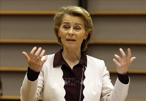 EU ruft zum Schutz ethnischer Minderheiten vor Rassismus auf - ảnh 1