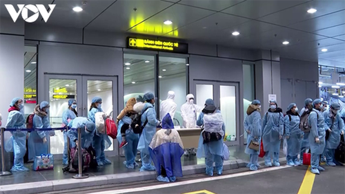 350 vietnamesische Bürger aus Japan zurückgeholt - ảnh 1