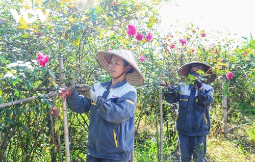 Drei strategische Durchbrüche verändern das Gesicht der Bergprovinz Cao Bang - ảnh 13