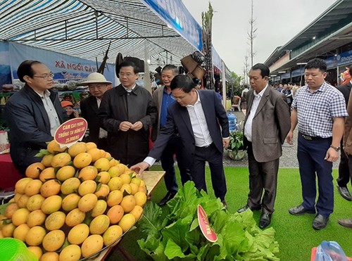 Kochkunst-Festival der ethnischen Minderheiten im Kreis Muong Ang - ảnh 1