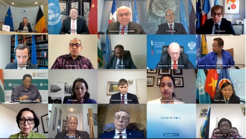 Vietnam ist bereit, die Sicherheitsreform für Post-Konflikt-Länder in Afrika zu unterstützen - ảnh 1