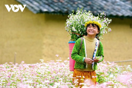 Faszinierende Farbe des echten Buchweizen in Ha Giang - ảnh 12