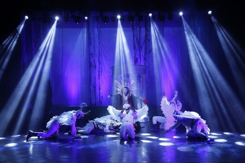 “Ein Schwarm Schwänze” – Menschliche Geschichte über Familie - ảnh 1