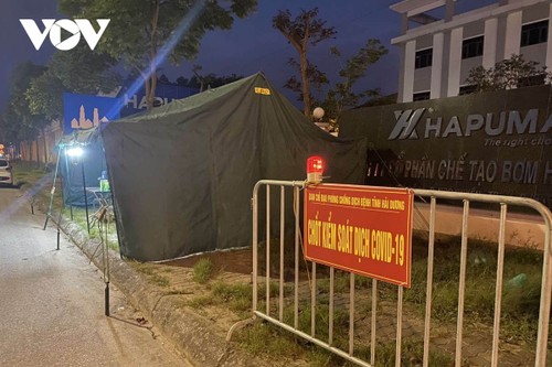 Provinzen verschärfen Maßnahmen zur Prävention und Bekämpfung der Covid-19-Epidemie - ảnh 1