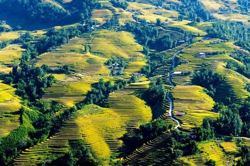 Reiseziele in Vietnam, die bei ausländischen Touristen beliebt sind - ảnh 4