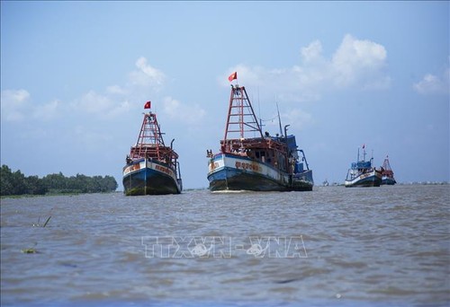 EC tagt online zur Aufhebung der gelben IUU-Karte gegen Vietnam - ảnh 1