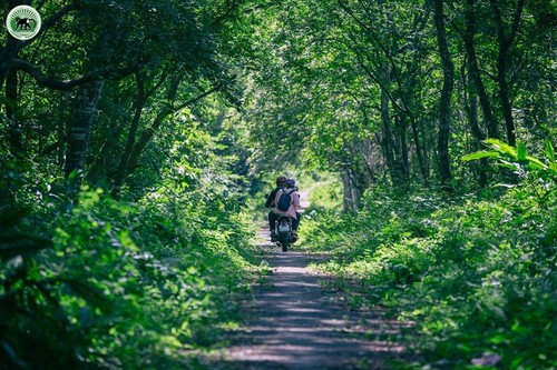 Cuc Phuong – Führender Nationalpark in Asien 2021 - ảnh 5