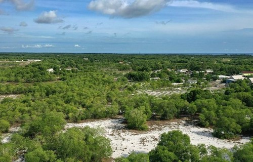 Die Weltbank unterstützt die Stadt Vinh Long bei der Anpassung an den Klimawandel - ảnh 1