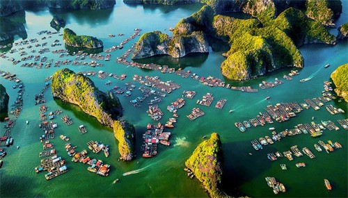 Vietnam gewinnt eine FIAP-Goldmedaille beim internationalen RBG-Fotowettbewerb 2021 - ảnh 1