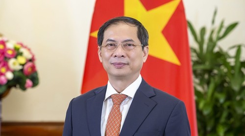 Vietnam und UN-Sicherheitsrat: Den Geist des Multilateralismus entfalten - ảnh 2