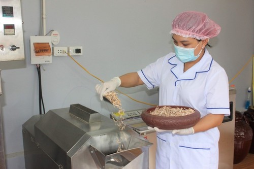 Erfolgreiche Startups dank Verarbeitung von Bio-Produkten - ảnh 1