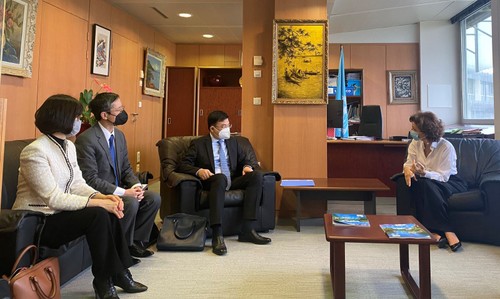 Vietnam nimmt am 214. Exekutivrat der UNESCO teil - ảnh 1