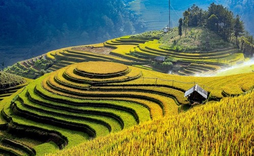 Positives Signal für Tourismuswiederbelebung in Yen Bai - ảnh 1