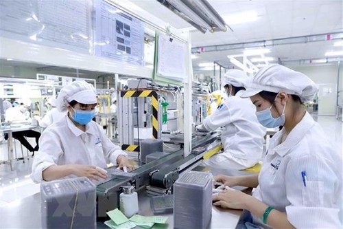 Viele ausländische Unternehmen möchten aufgrund der Vorteile von EVFTA-Abkommen in Vietnam investieren - ảnh 1