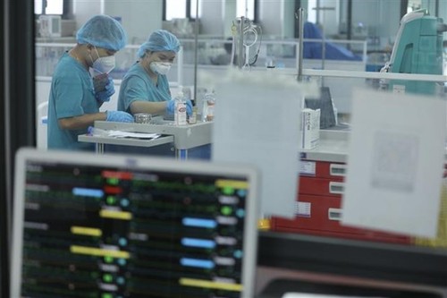Vietnam kontrolliert die Covid-19-Epidemie und fördert erfolgreich die Wirtschaftsentwicklung - ảnh 1