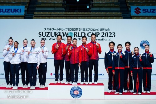 Vietnam gewinnt eine Goldmedaille beim Weltturnier für Aerobic - ảnh 1