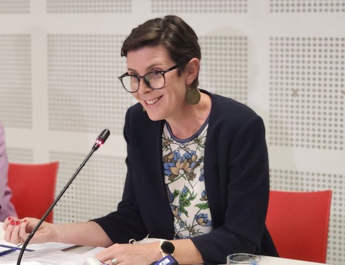 WHO begleitet Vietnam im Kampf gegen die Covid-19-Epidemie - ảnh 1