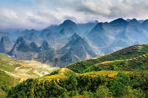 Die Schönheit des Kalkplateaus Dong Van in der Provinz Ha Giang - ảnh 2