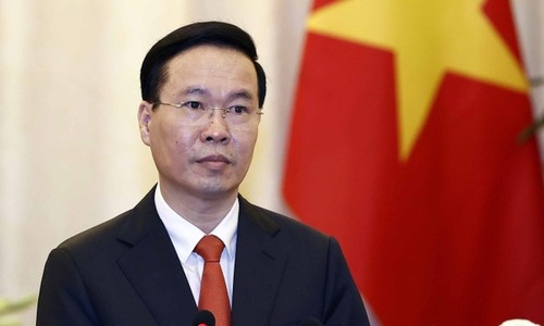 Staatspräsident Vo Van Thuong besucht Japan - ảnh 1