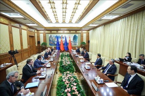 China und die EU fördern die Zusammenarbeit zugunsten der Interessen aller Parteien - ảnh 1