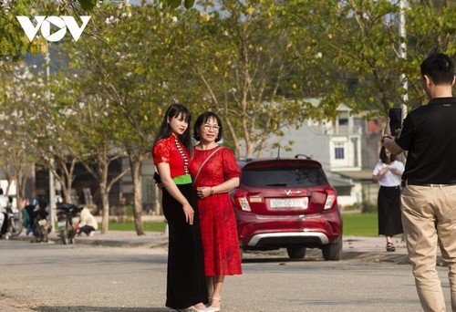 Bauhinien blühen und locken Touristen nach Dien Bien - ảnh 14