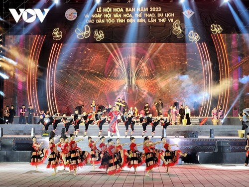 Bauhinien blühen und locken Touristen nach Dien Bien - ảnh 1