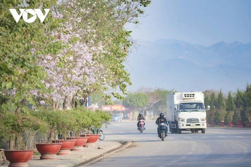 Neues Aussehen der Stadt Dien Bien Phu nach 70 Jahren Befreiung - ảnh 20