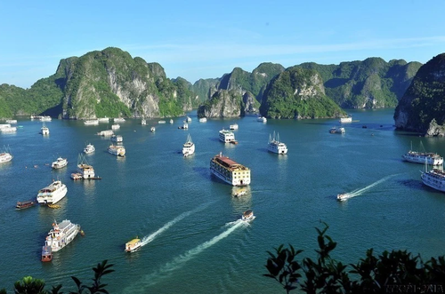 Das erste Karnevalsfestival auf See in Vietnam - ảnh 1