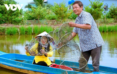 Bewohner in Ca Mau und die Aufforstung - ảnh 1