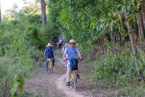 Vietnam will im Jahr 2025 28 Millionen internationale Besucher empfangen - ảnh 1