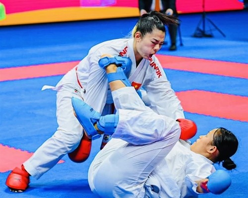 Vietnamesisches Karate-Team belegt beim Asienturnier den zweiten Platz  - ảnh 1