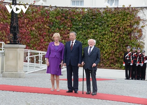 Der irische Präsident lobt Vietnams wichtige und positive Rolle für die regionale Sicherheit - ảnh 1