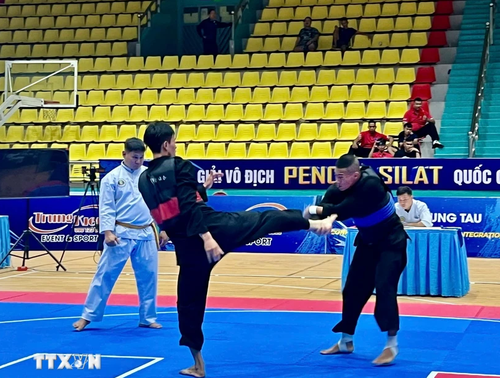 Mehr als 300 Sportler nehmen an der Pencak-Silat-Nationalmeisterschaft teil - ảnh 1