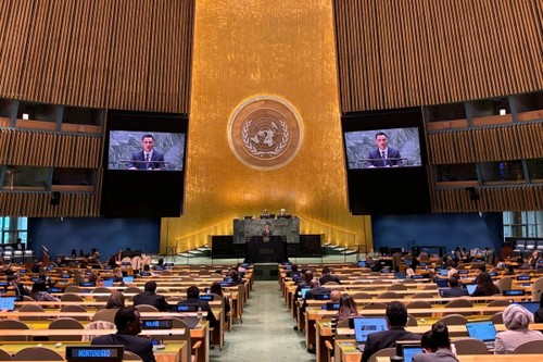 Vietnam und internationale Gemeinschaft rufen zum Ende des Embargos gegen Kuba auf - ảnh 1