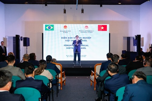 Premierminister Pham Minh Chinh nimmt am Unternehmensforum zwischen Vietnam und Brasilien teil - ảnh 1