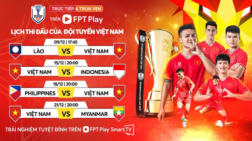 Liste der vietnamesischen Nationalmannschaft für den ASEAN Cup 2024: Bereit für den Generationswechsel - ảnh 1