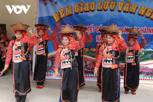 Das Ho Su Cha-Fest der Volksgruppe der Ha Nhi in der Provinz Lai Chau - ảnh 14