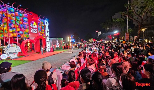 Feierlichkeiten zu Weihnachten und zum Neujahr in Da Nang - ảnh 1