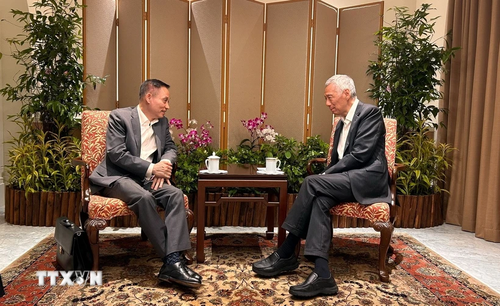 Leiter der KPV-Außenkomitees Le Hoai Trung besucht Singapur - ảnh 1