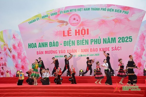 Eröffnung des Kirschblüten-Festes in Dien Bien Phu  - ảnh 1