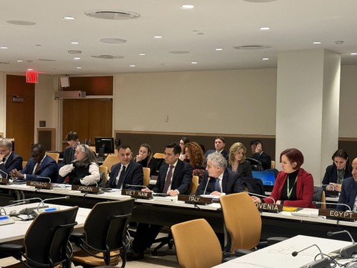 Vietnam koordiniert die Organisation des UN-Gipfels zur Prävention und Bekämpfung von Epidemien im Jahr 2026 - ảnh 1