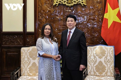 Staatspräsident Luong Cuong empfängt neue Botschafter - ảnh 2