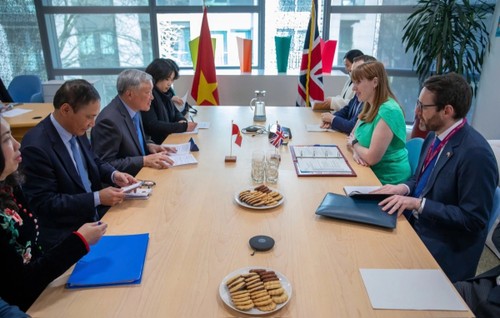Die bilaterale Zusammenarbeit zwischen Vietnam und Großbritannien verstärken - ảnh 1