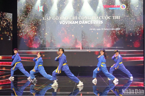 „Vovinam Dance“: Ein neuer Spielplatz für junge Leute - ảnh 1